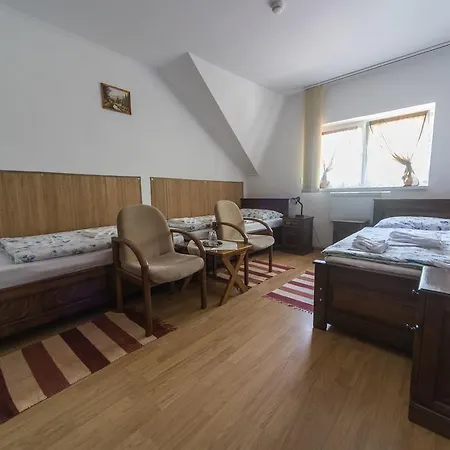 Guest house Tokaj Zlata Putna - Restaurant & 4*